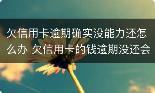 欠信用卡逾期确实没能力还怎么办 欠信用卡的钱逾期没还会怎么样
