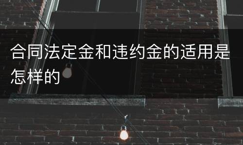 合同法定金和违约金的适用是怎样的