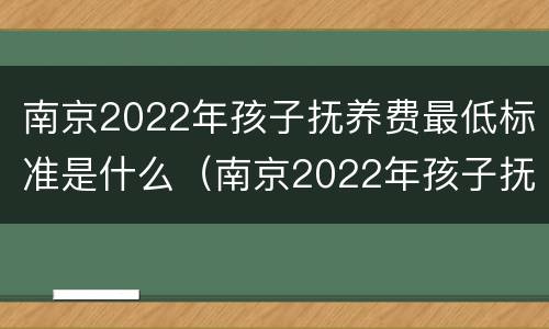 南京2022年孩子抚养费最低标准是什么（南京2022年孩子抚养费最低标准是什么呢）