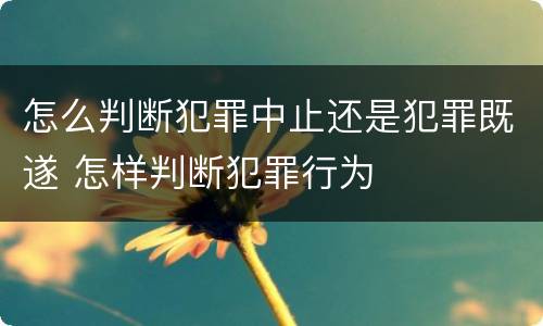 怎么判断犯罪中止还是犯罪既遂 怎样判断犯罪行为