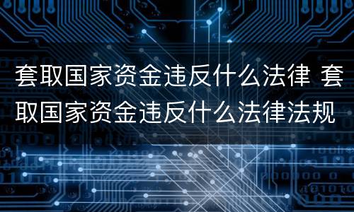 套取国家资金违反什么法律 套取国家资金违反什么法律法规