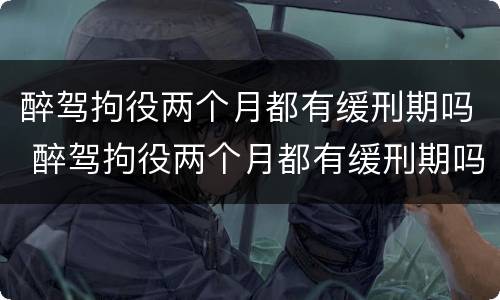 醉驾拘役两个月都有缓刑期吗 醉驾拘役两个月都有缓刑期吗
