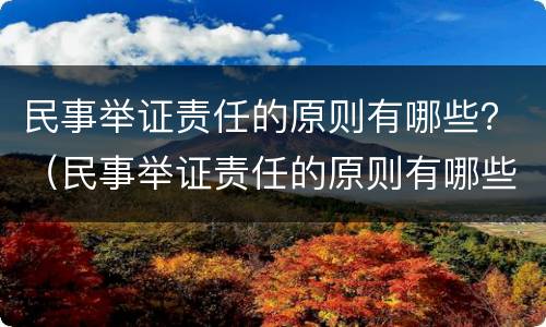 民事举证责任的原则有哪些？（民事举证责任的原则有哪些呢）