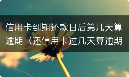 信用卡到期还款日后第几天算逾期（还信用卡过几天算逾期）