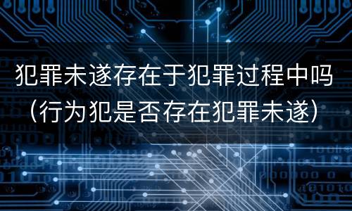 犯罪未遂存在于犯罪过程中吗（行为犯是否存在犯罪未遂）