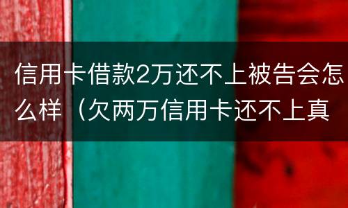 信用卡借款2万还不上被告会怎么样（欠两万信用卡还不上真的会被起诉吗）