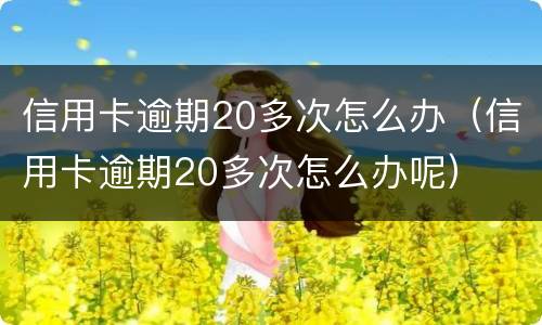 信用卡逾期20多次怎么办（信用卡逾期20多次怎么办呢）