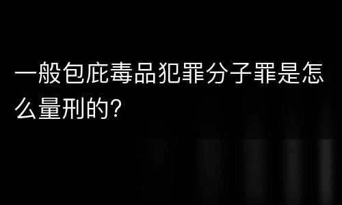 一般包庇毒品犯罪分子罪是怎么量刑的?