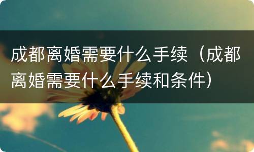 成都离婚需要什么手续（成都离婚需要什么手续和条件）