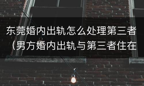 东莞婚内出轨怎么处理第三者（男方婚内出轨与第三者住在一起怎么办）