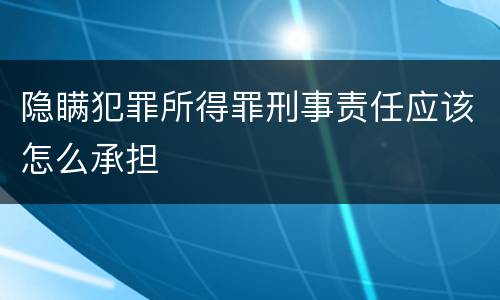 隐瞒犯罪所得罪刑事责任应该怎么承担
