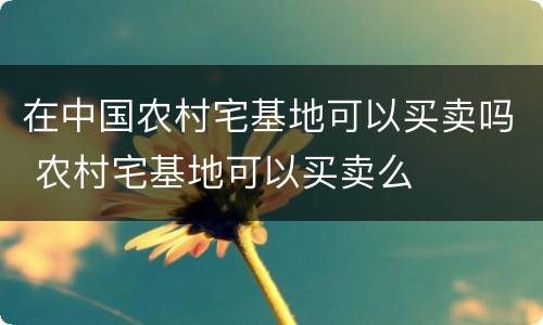 在中国农村宅基地可以买卖吗 农村宅基地可以买卖么