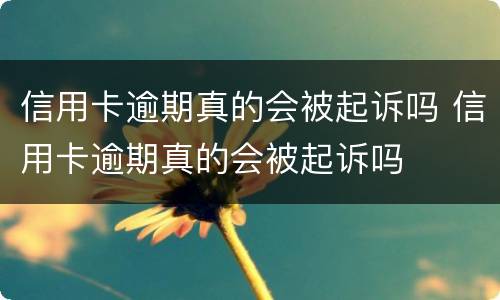 信用卡逾期真的会被起诉吗 信用卡逾期真的会被起诉吗
