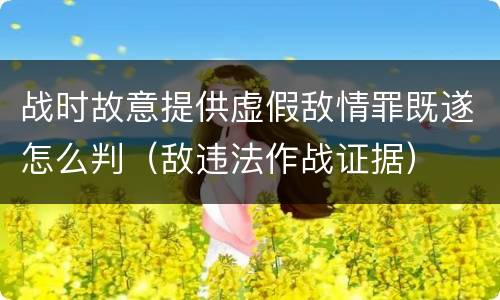 战时故意提供虚假敌情罪既遂怎么判（敌违法作战证据）