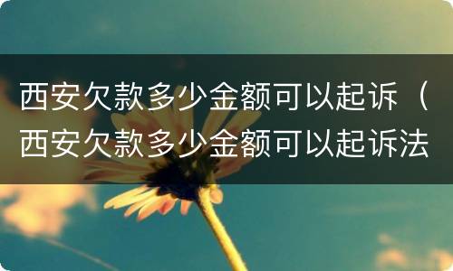 西安欠款多少金额可以起诉（西安欠款多少金额可以起诉法院）