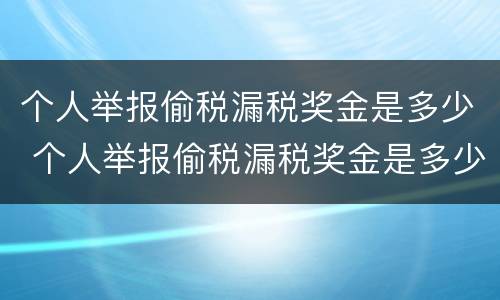 个人举报偷税漏税奖金是多少 个人举报偷税漏税奖金是多少啊