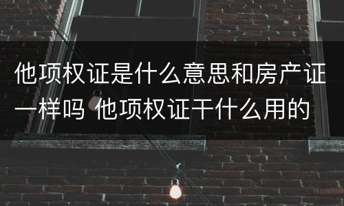 他项权证是什么意思和房产证一样吗 他项权证干什么用的
