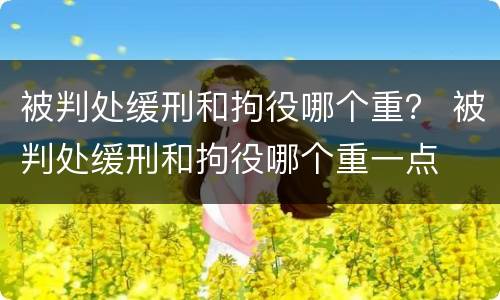 被判处缓刑和拘役哪个重？ 被判处缓刑和拘役哪个重一点