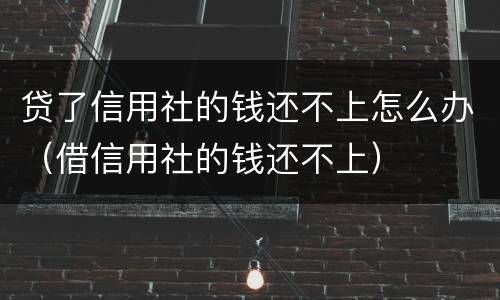 贷了信用社的钱还不上怎么办（借信用社的钱还不上）