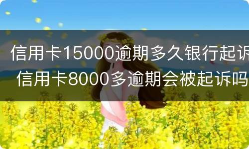 信用卡15000逾期多久银行起诉 信用卡8000多逾期会被起诉吗