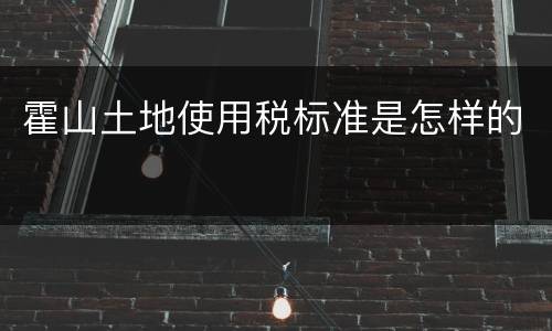 霍山土地使用税标准是怎样的
