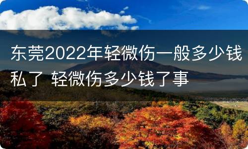 东莞2022年轻微伤一般多少钱私了 轻微伤多少钱了事