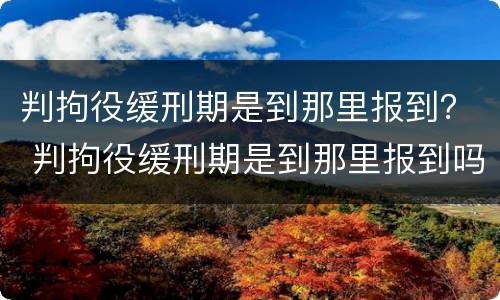 判拘役缓刑期是到那里报到？ 判拘役缓刑期是到那里报到吗