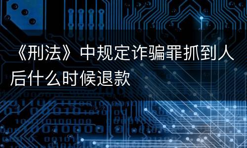 《刑法》中规定诈骗罪抓到人后什么时候退款