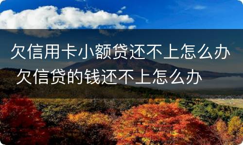 欠信用卡小额贷还不上怎么办 欠信贷的钱还不上怎么办