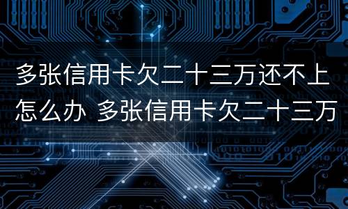 多张信用卡欠二十三万还不上怎么办 多张信用卡欠二十三万还不上怎么办呢