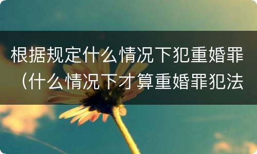 根据规定什么情况下犯重婚罪（什么情况下才算重婚罪犯法）