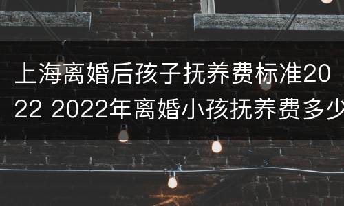上海离婚后孩子抚养费标准2022 2022年离婚小孩抚养费多少
