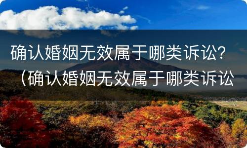 确认婚姻无效属于哪类诉讼？（确认婚姻无效属于哪类诉讼范围）