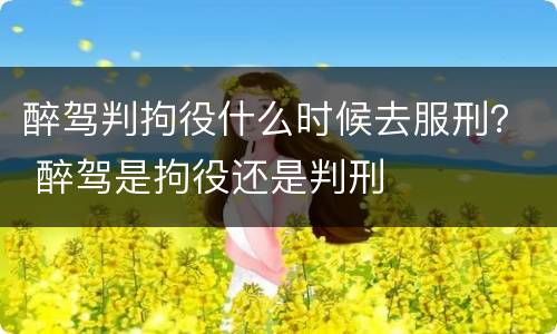 醉驾判拘役什么时候去服刑？ 醉驾是拘役还是判刑