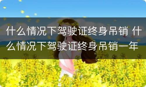 什么情况下驾驶证终身吊销 什么情况下驾驶证终身吊销一年