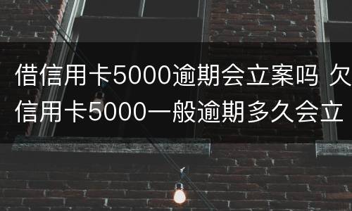 借信用卡5000逾期会立案吗 欠信用卡5000一般逾期多久会立案