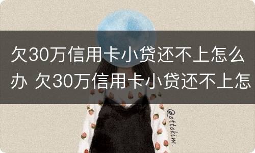 欠30万信用卡小贷还不上怎么办 欠30万信用卡小贷还不上怎么办呀