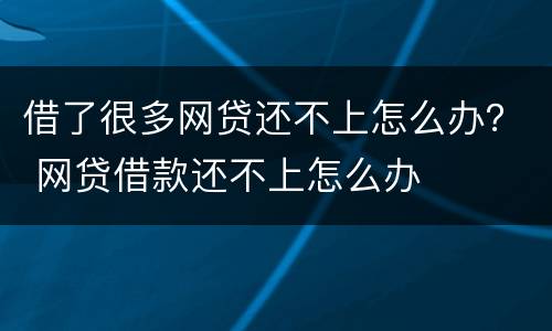 借了很多网贷还不上怎么办？ 网贷借款还不上怎么办