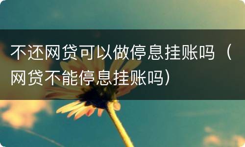 不还网贷可以做停息挂账吗（网贷不能停息挂账吗）