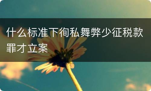 什么标准下徇私舞弊少征税款罪才立案