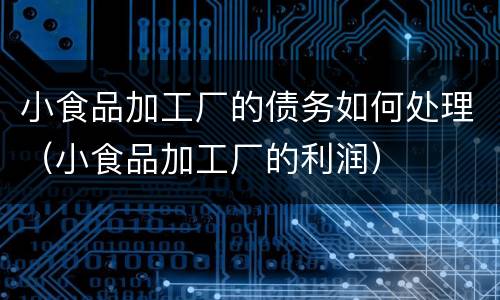 小食品加工厂的债务如何处理（小食品加工厂的利润）