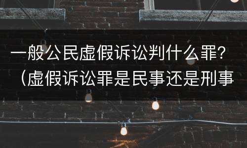 一般公民虚假诉讼判什么罪？（虚假诉讼罪是民事还是刑事）