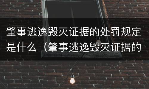 肇事逃逸毁灭证据的处罚规定是什么（肇事逃逸毁灭证据的处罚规定是什么意思）