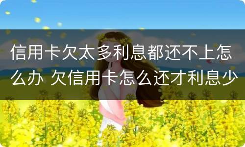 信用卡欠太多利息都还不上怎么办 欠信用卡怎么还才利息少