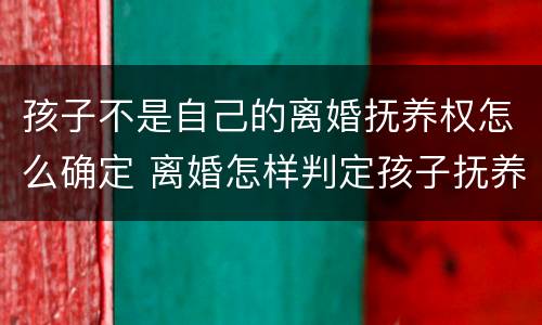孩子不是自己的离婚抚养权怎么确定 离婚怎样判定孩子抚养权