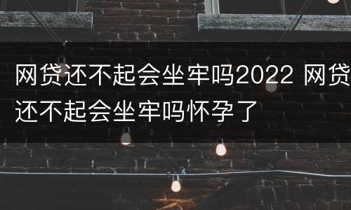 网贷还不起会坐牢吗2022 网贷还不起会坐牢吗怀孕了