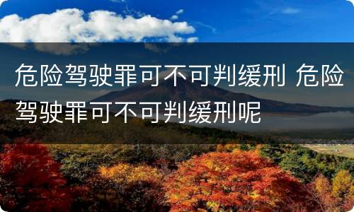 危险驾驶罪可不可判缓刑 危险驾驶罪可不可判缓刑呢