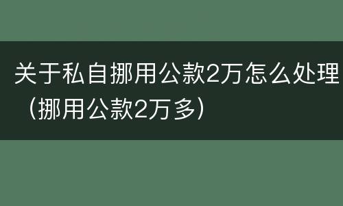 关于私自挪用公款2万怎么处理（挪用公款2万多）