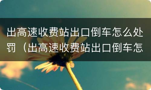 出高速收费站出口倒车怎么处罚（出高速收费站出口倒车怎么处罚车辆）