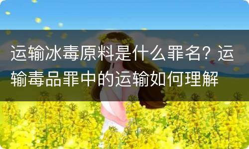 运输冰毒原料是什么罪名? 运输毒品罪中的运输如何理解